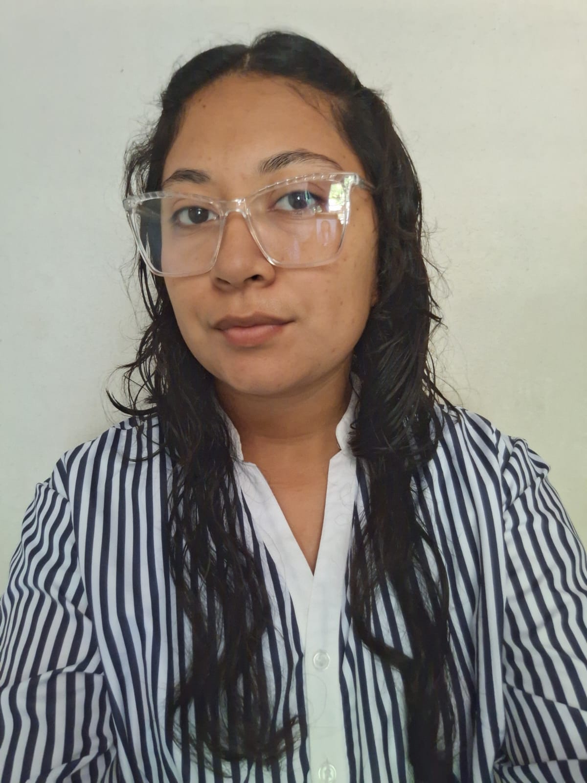 Ana Esmeralda Ramírez image
